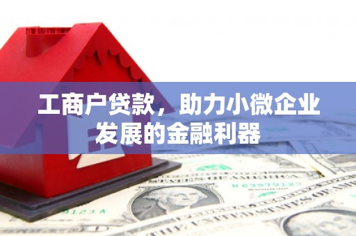 岳塘工商户贷款，助力小微企业发展的金融利器