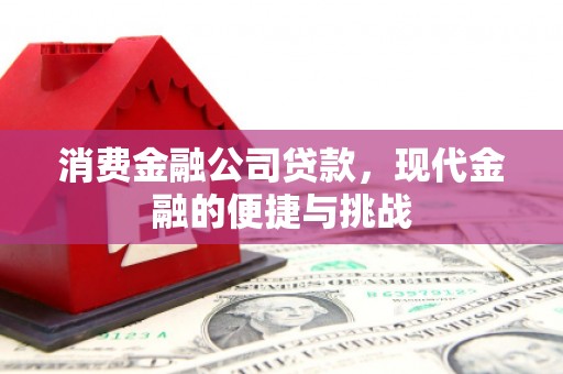 岳塘消费金融公司贷款，现代金融的便捷与挑战