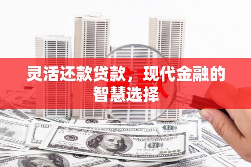 岳塘灵活还款贷款，现代金融的智慧选择
