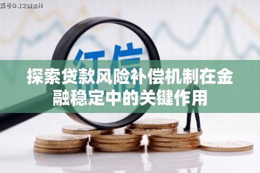 岳塘探索贷款风险补偿机制在金融稳定中的关键作用