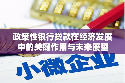 岳塘政策性银行贷款在经济发展中的关键作用与未来展望