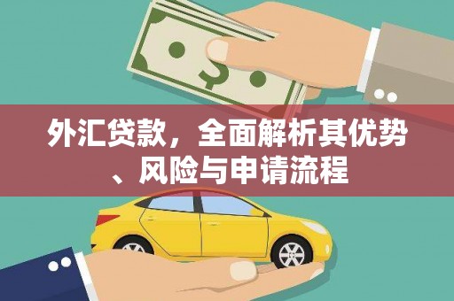 岳塘外汇贷款，全面解析其优势、风险与申请流程