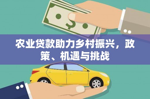 岳塘农业贷款助力乡村振兴，政策、机遇与挑战