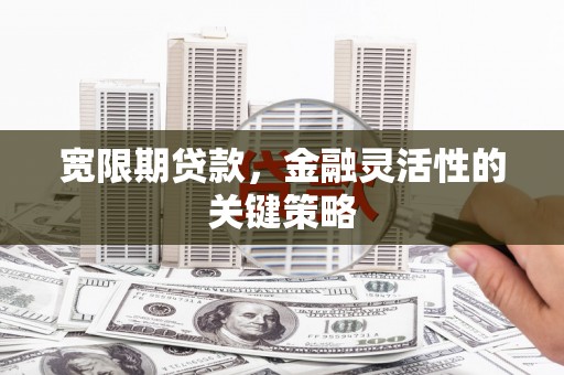 岳塘宽限期贷款，金融灵活性的关键策略