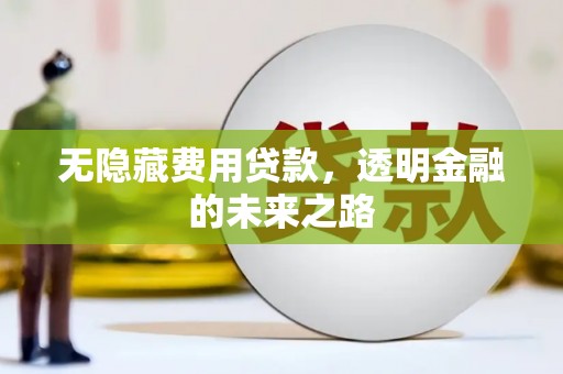 岳塘无隐藏费用贷款，透明金融的未来之路