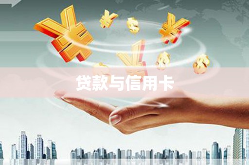 岳塘贷款与信用卡