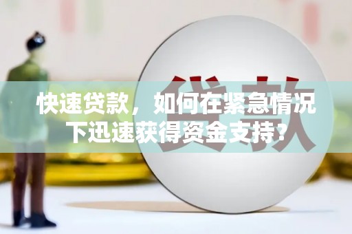 岳塘快速贷款，如何在紧急情况下迅速获得资金支持？