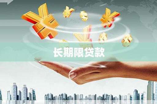 岳塘长期限贷款