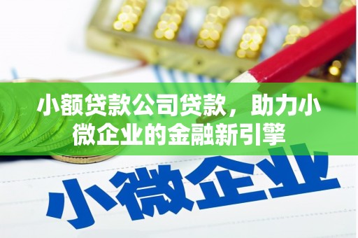 岳塘小额贷款公司贷款，助力小微企业的金融新引擎