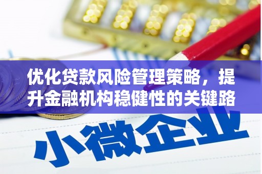 岳塘优化贷款风险管理策略，提升金融机构稳健性的关键路径