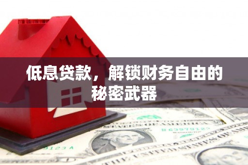 岳塘低息贷款，解锁财务自由的秘密武器