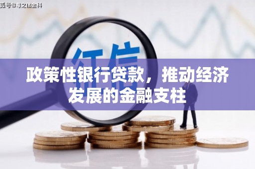岳塘政策性银行贷款，推动经济发展的金融支柱