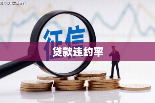 岳塘贷款违约率