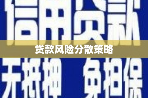 岳塘贷款风险分散策略
