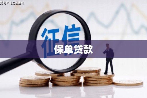岳塘保单贷款