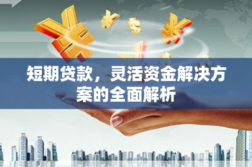 岳塘短期贷款，灵活资金解决方案的全面解析
