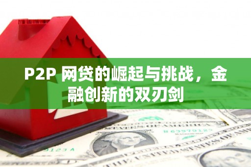 岳塘P2P 网贷的崛起与挑战，金融创新的双刃剑