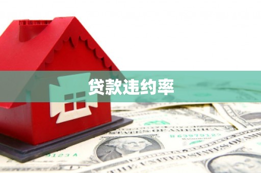 岳塘贷款违约率