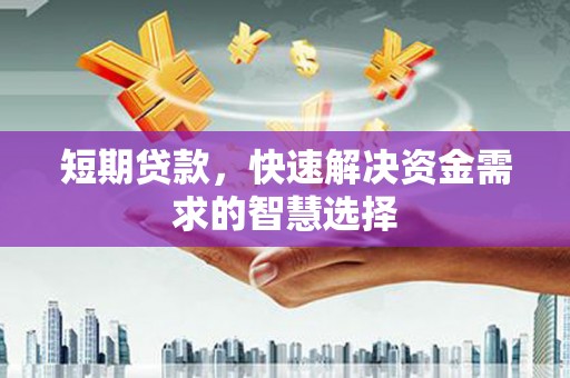 岳塘短期贷款，快速解决资金需求的智慧选择