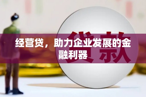 岳塘经营贷，助力企业发展的金融利器
