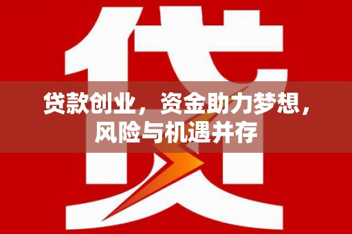 岳塘贷款创业，资金助力梦想，风险与机遇并存