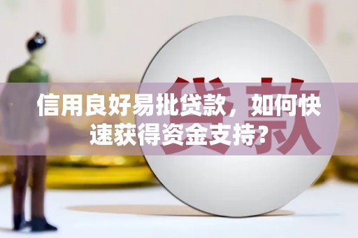 岳塘信用良好易批贷款，如何快速获得资金支持？