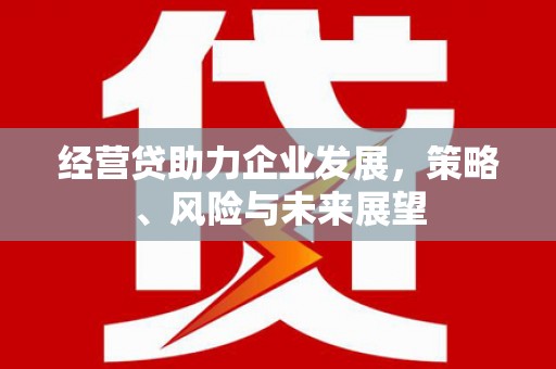 岳塘经营贷助力企业发展，策略、风险与未来展望
