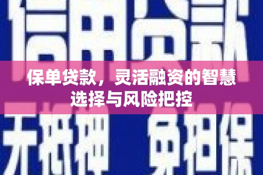 岳塘保单贷款，灵活融资的智慧选择与风险把控