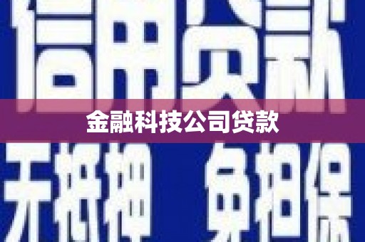 岳塘金融科技公司贷款