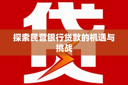 岳塘探索民营银行贷款的机遇与挑战