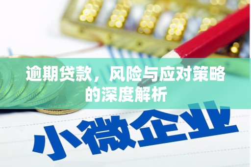 岳塘逾期贷款，风险与应对策略的深度解析