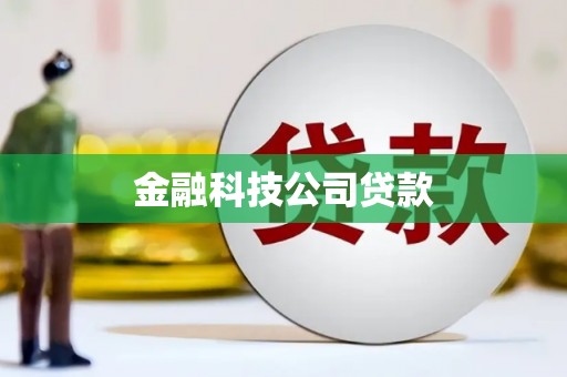 岳塘金融科技公司贷款