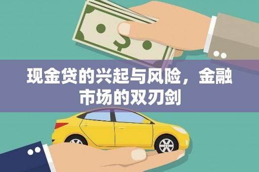 岳塘现金贷的兴起与风险，金融市场的双刃剑