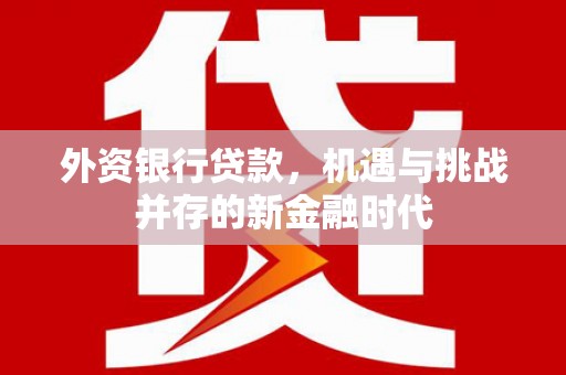 岳塘外资银行贷款，机遇与挑战并存的新金融时代