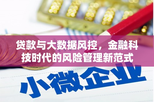 岳塘贷款与大数据风控，金融科技时代的风险管理新范式