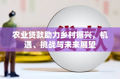 岳塘农业贷款助力乡村振兴，机遇、挑战与未来展望