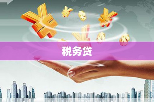 岳塘税务贷