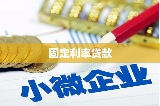 岳塘固定利率贷款