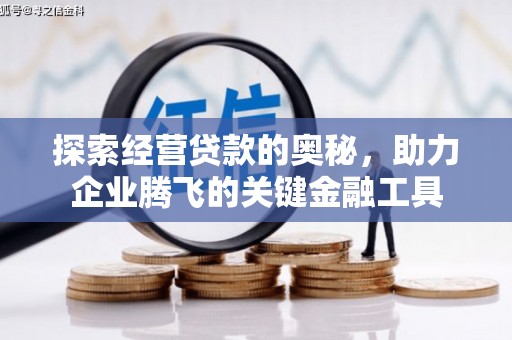 岳塘探索经营贷款的奥秘，助力企业腾飞的关键金融工具
