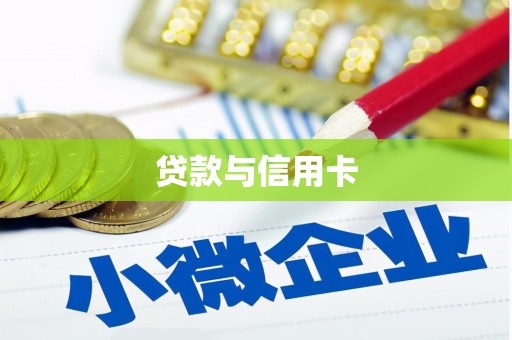 岳塘贷款与信用卡
