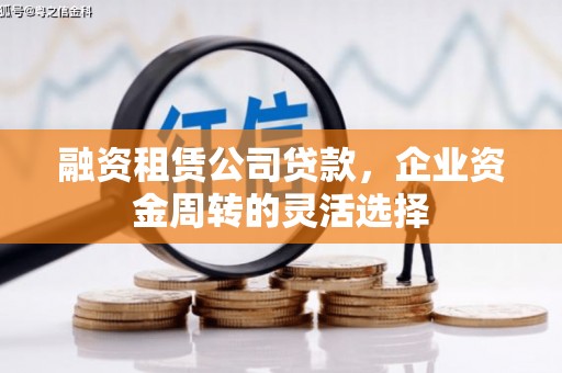 岳塘融资租赁公司贷款，企业资金周转的灵活选择