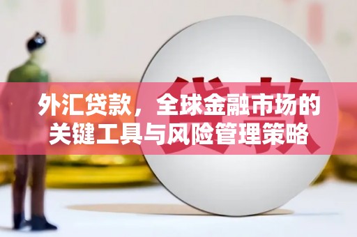 岳塘外汇贷款，全球金融市场的关键工具与风险管理策略
