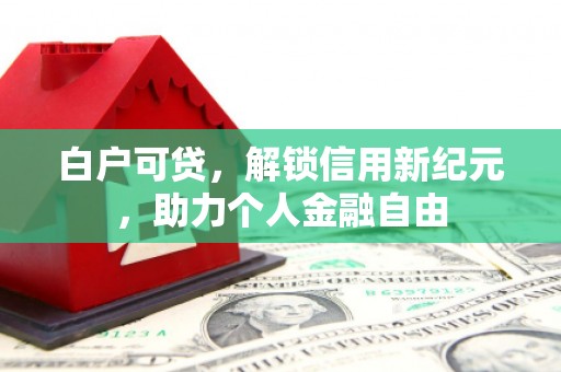 岳塘白户可贷，解锁信用新纪元，助力个人金融自由