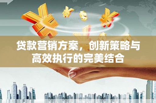 岳塘贷款营销方案，创新策略与高效执行的完美结合