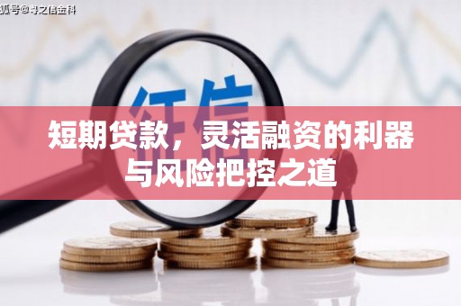 岳塘短期贷款，灵活融资的利器与风险把控之道