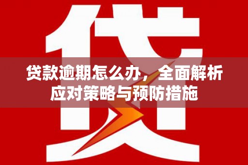 岳塘贷款逾期怎么办，全面解析应对策略与预防措施