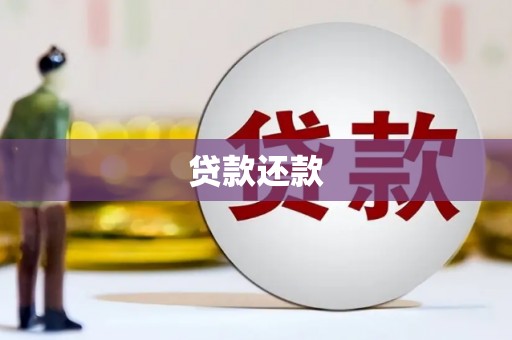 岳塘贷款还款