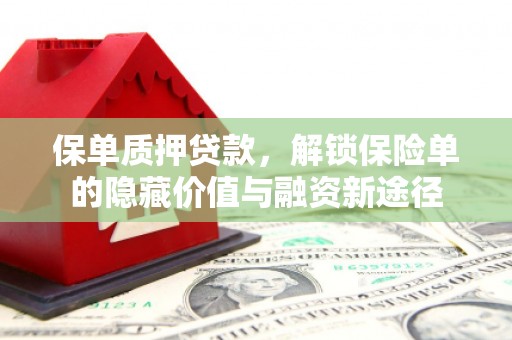 岳塘保单质押贷款，解锁保险单的隐藏价值与融资新途径