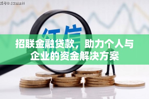 岳塘招联金融贷款，助力个人与企业的资金解决方案