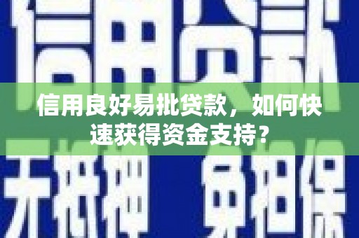 岳塘信用良好易批贷款，如何快速获得资金支持？